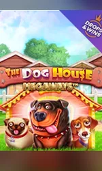 the dog house megaways
