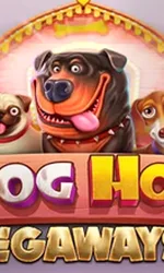 the dog house megaways