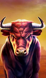 Black Bull
